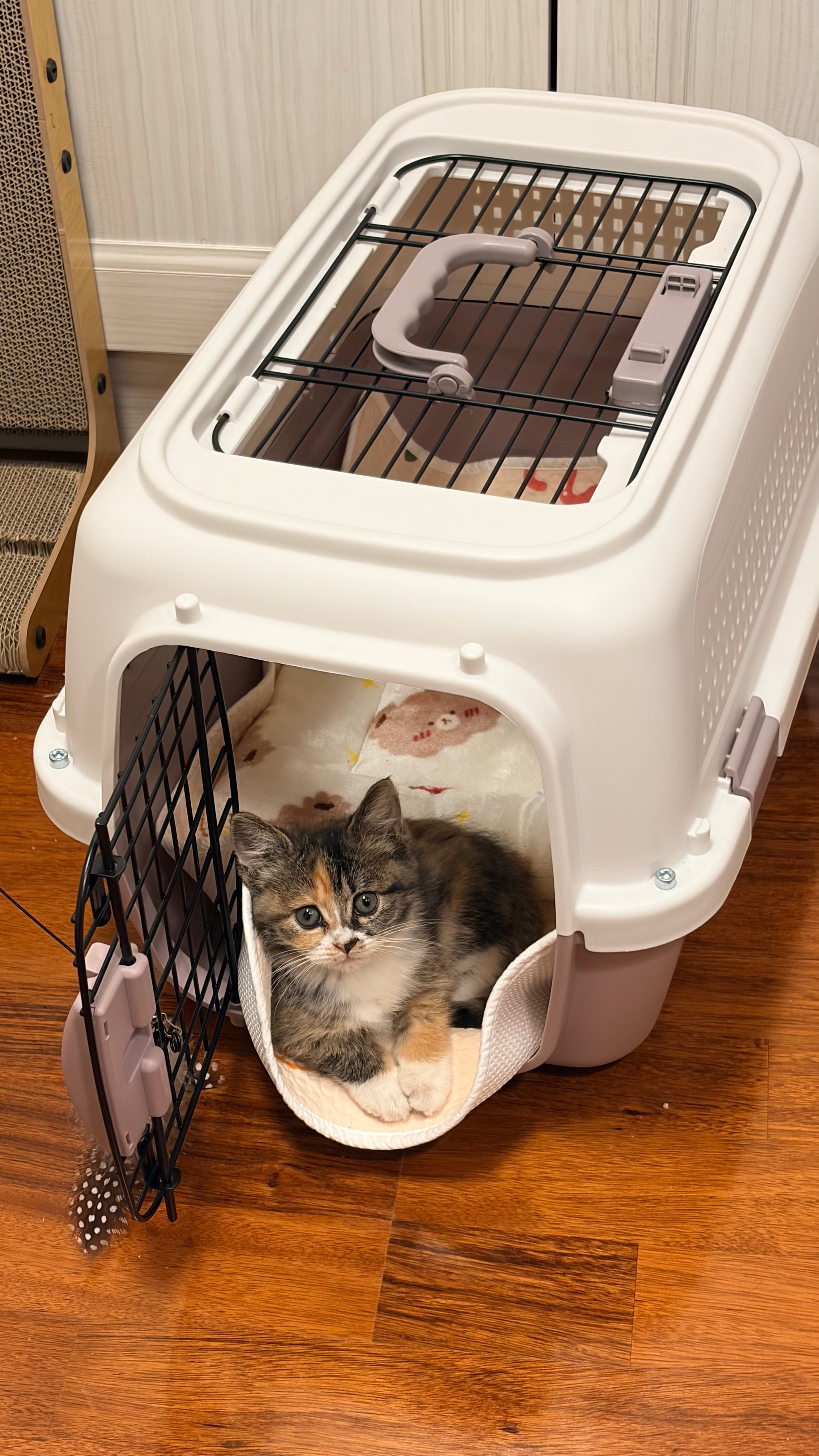 Honey in crate
