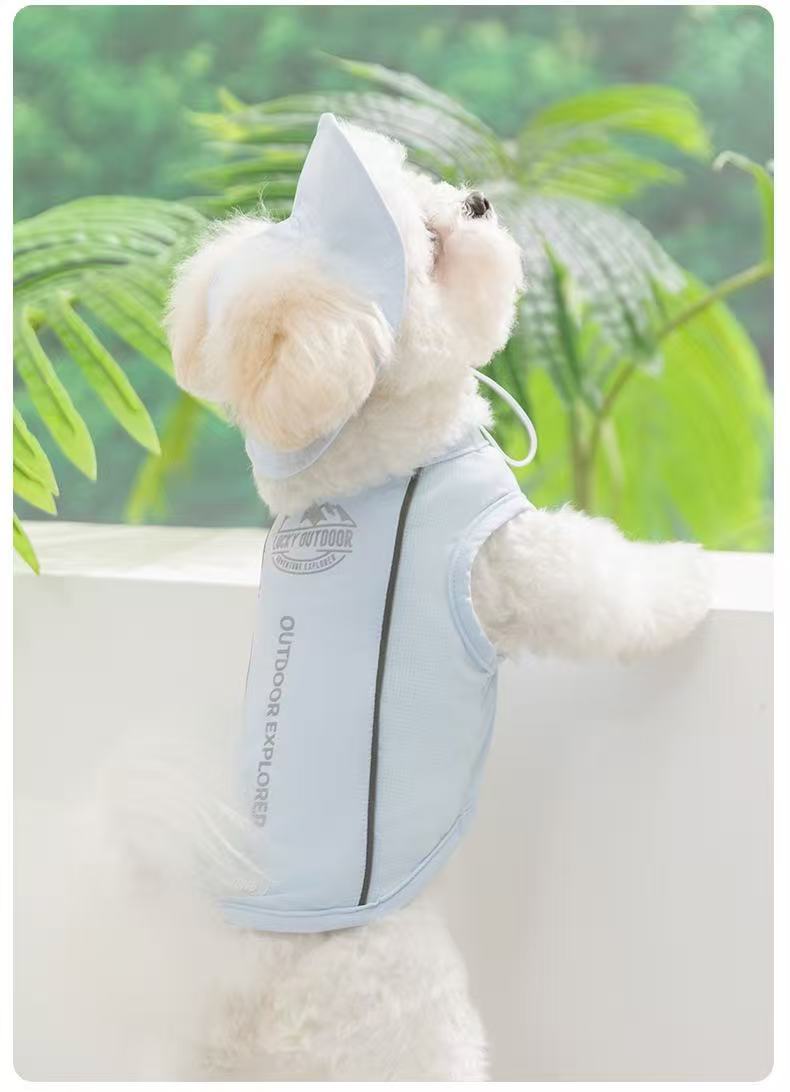 The "Sunny Tails" Chill & Protect Collection