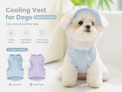 The "Sunny Tails" Chill & Protect Collection